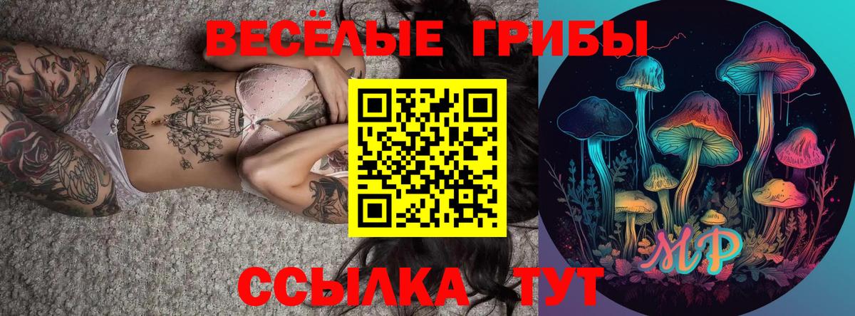 Феодосия  Галлюциногенные грибы Psilocybine cubensis  Вход с VPN 